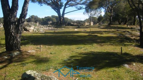 Foto 3 de Terreny en venda a Cebreros, Ávila