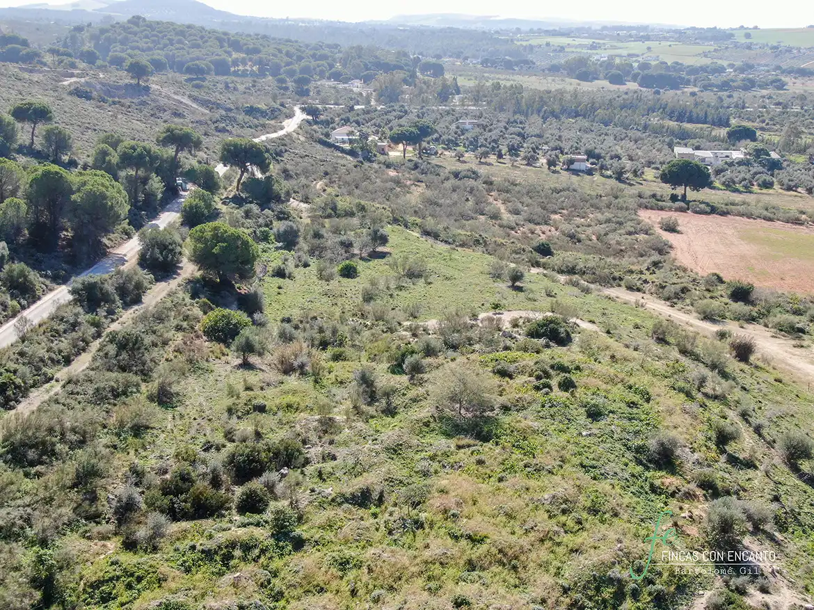 Terreno rustico in vendita a Arcos de la Frontera, imagen 17