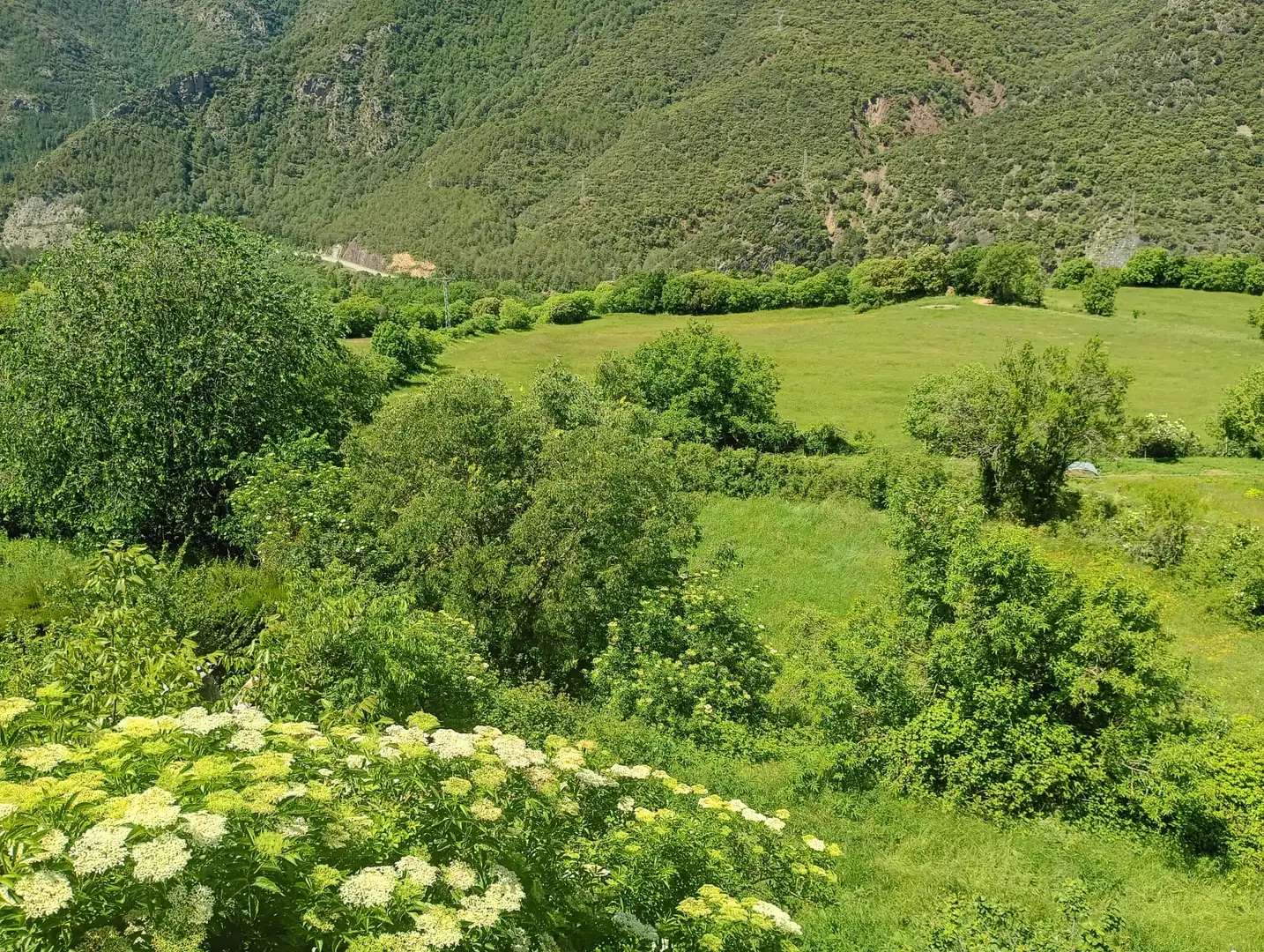 Casa o xalet en venda en Soriguera amb Terrassa i Traster