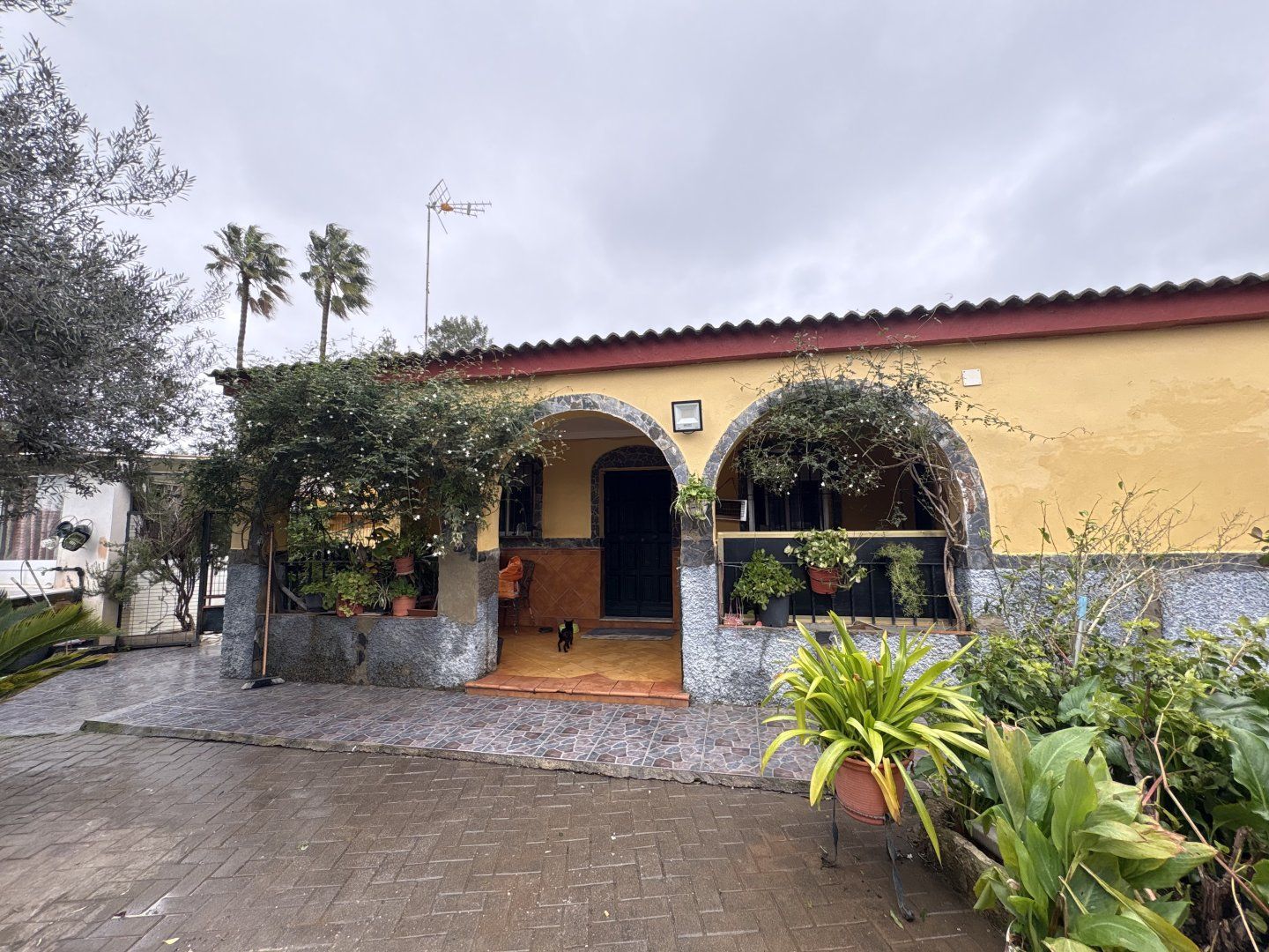 Vista exterior de Casa o xalet en venda en Sanlúcar la Mayor amb Aire condicionat i Moblat