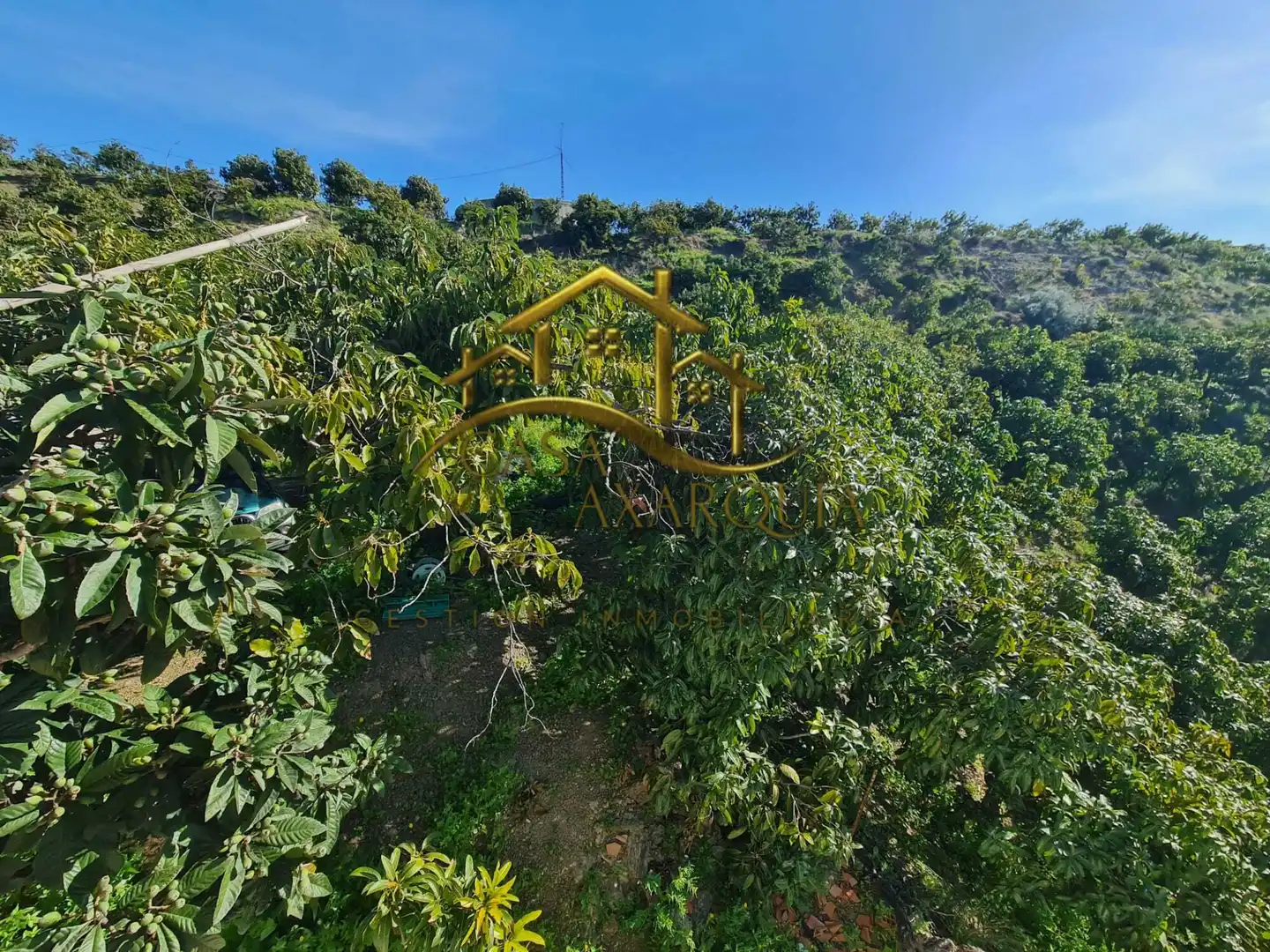 Casa rustica in vendita a Diseminado Atalaya Baja, imagen 42