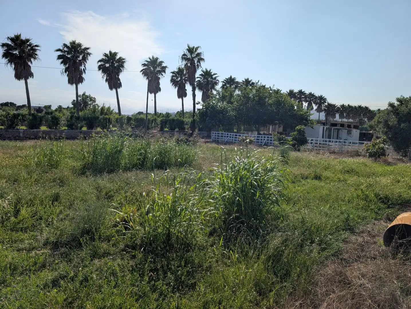 Terreno residenziale in vendita a Alcanar, imagen 11