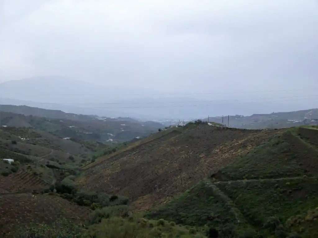 Vista exterior de Finca rústica en venda en Iznate amb Piscina i Moblat