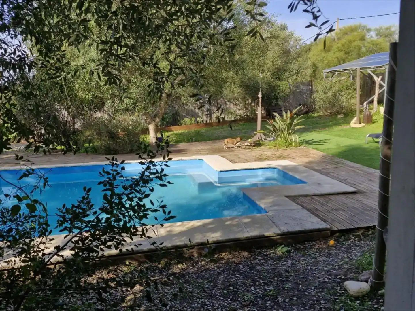 Swimming pool of Houses for rent in Barbate  with Private garden, Parquet flooring and Swimming Pool