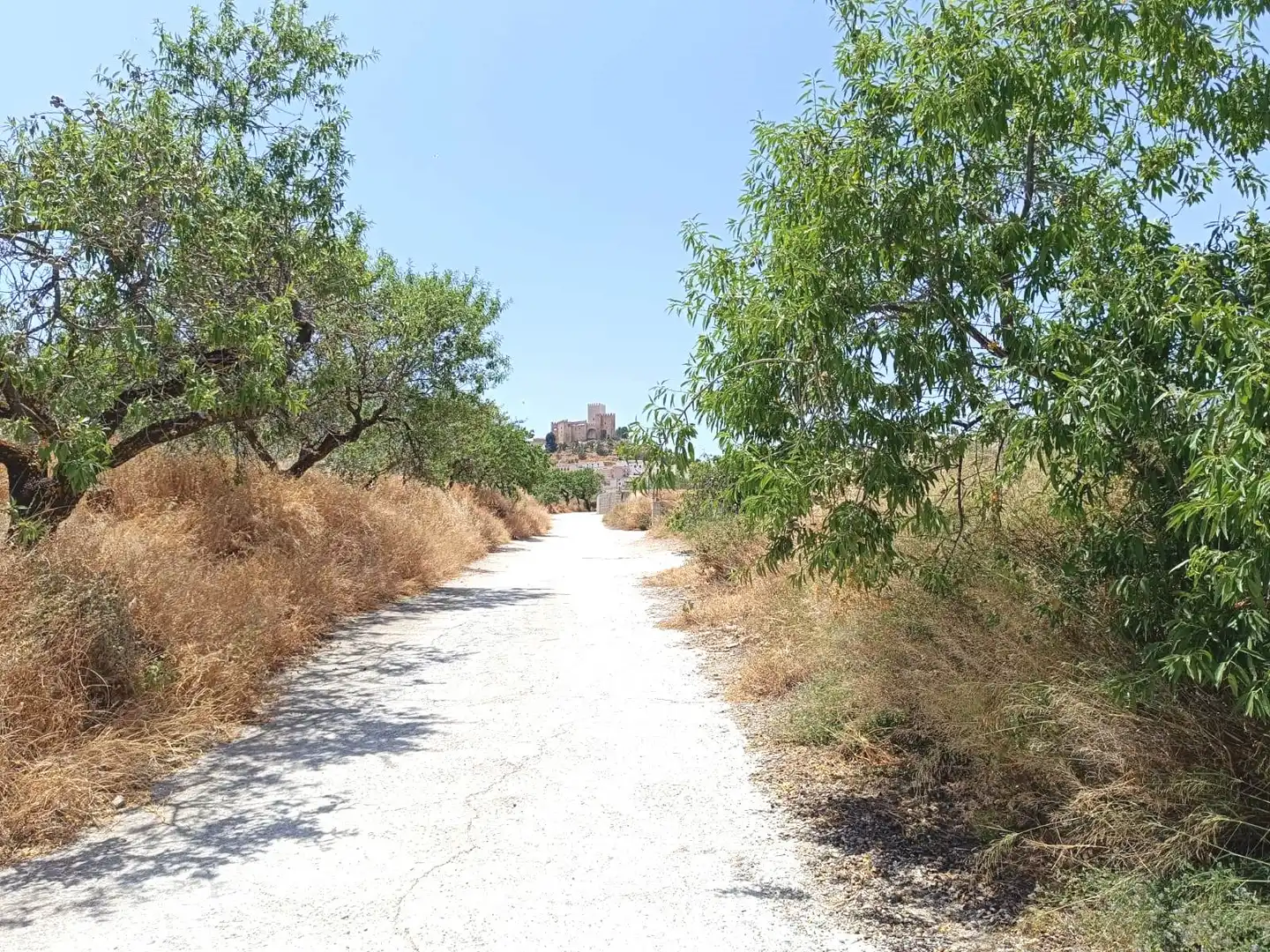 Vista exterior de Finca rústica en venta en Vélez-Blanco con Aire acondicionado, Jardín privado y Terraza
