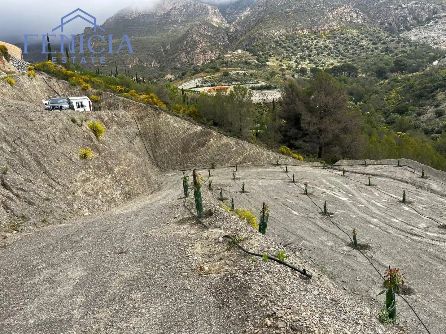 Terreny rústic en venda a Molvízar, imagen 4