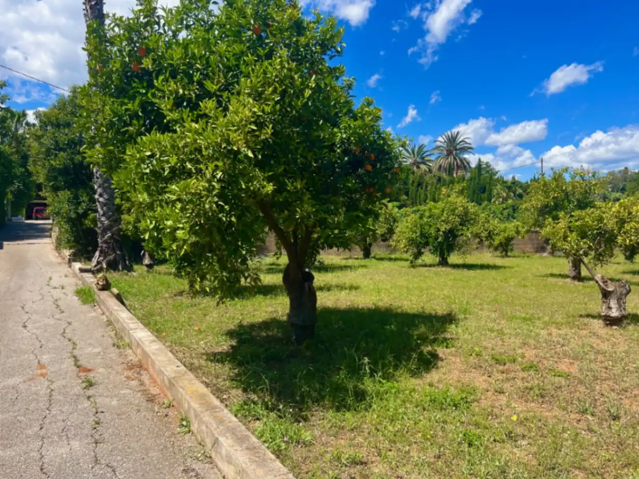Country homes for sale in Pedreguer  with Air Conditioner, Terrace and Swimming Pool