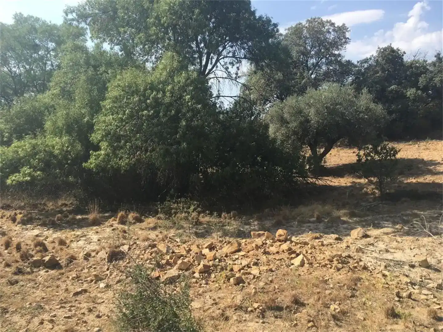 Land for sale in Hontanar