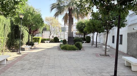 Photo 4 of Detached homes for rent in Santa Eufemia, Tomares