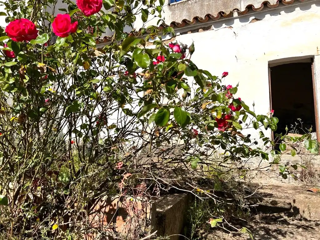 Casa o chalet en venta en Villaviciosa de Córdoba