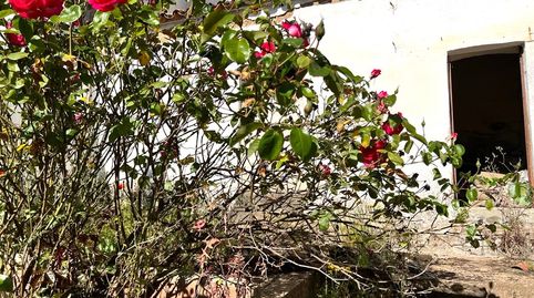 Foto 3 de Casa o chalet en venta en Villaviciosa de Córdoba, Córdoba