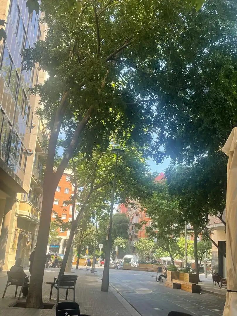 Flat with lift for sale in Comte Borrell, imagen 17