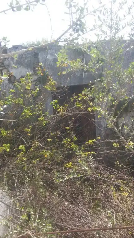 Finca rústica en venta en Vejer de la Frontera
