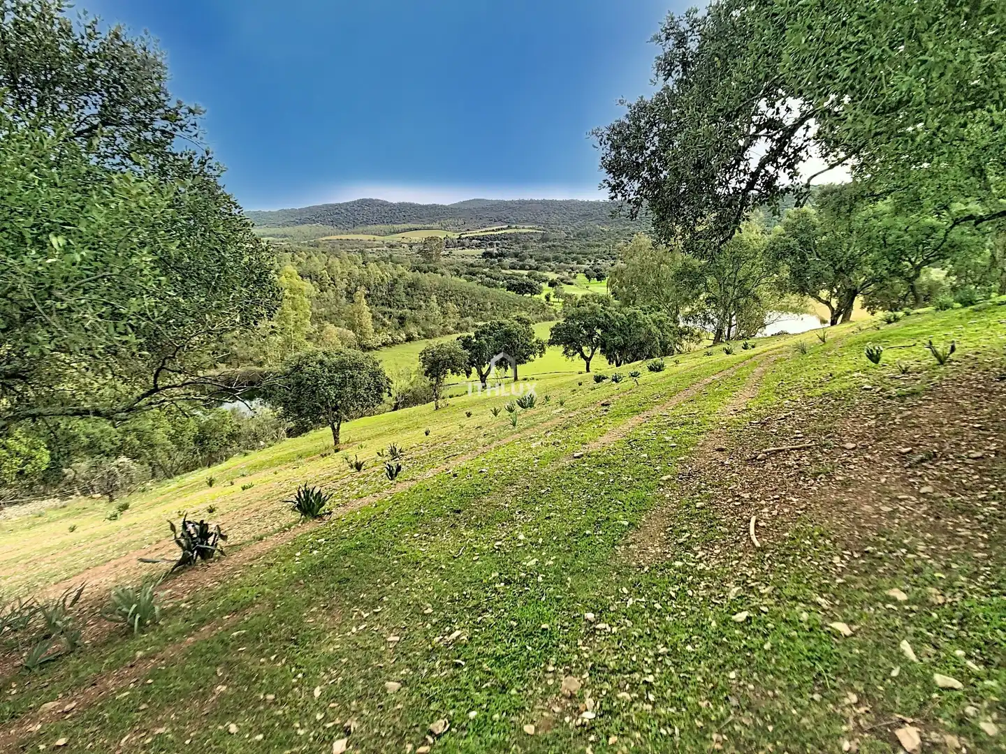 Finca rústica en venda en La Codosera