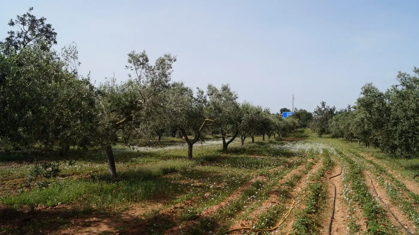 Terreno en venta en Torredembarra