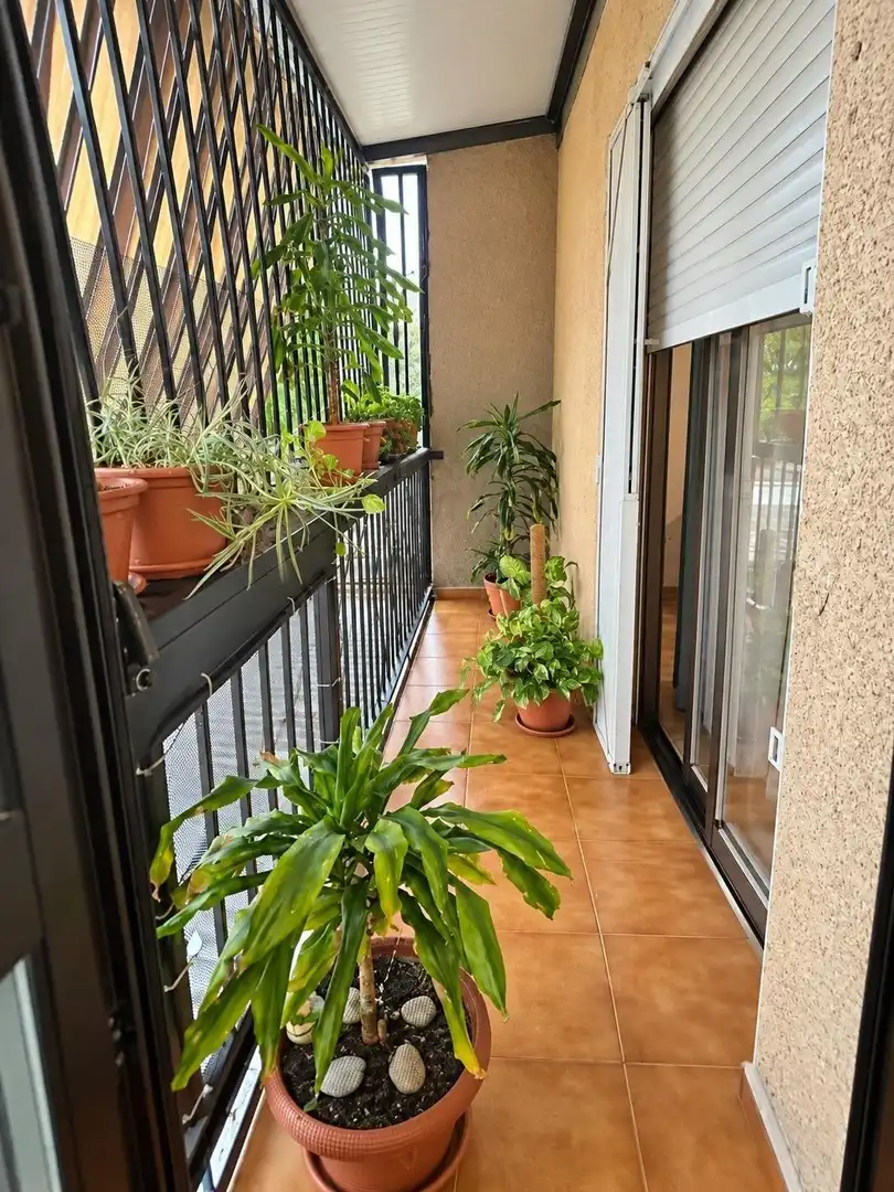 Adosado con jardín en venta en Pedanías Norte, imagen 24