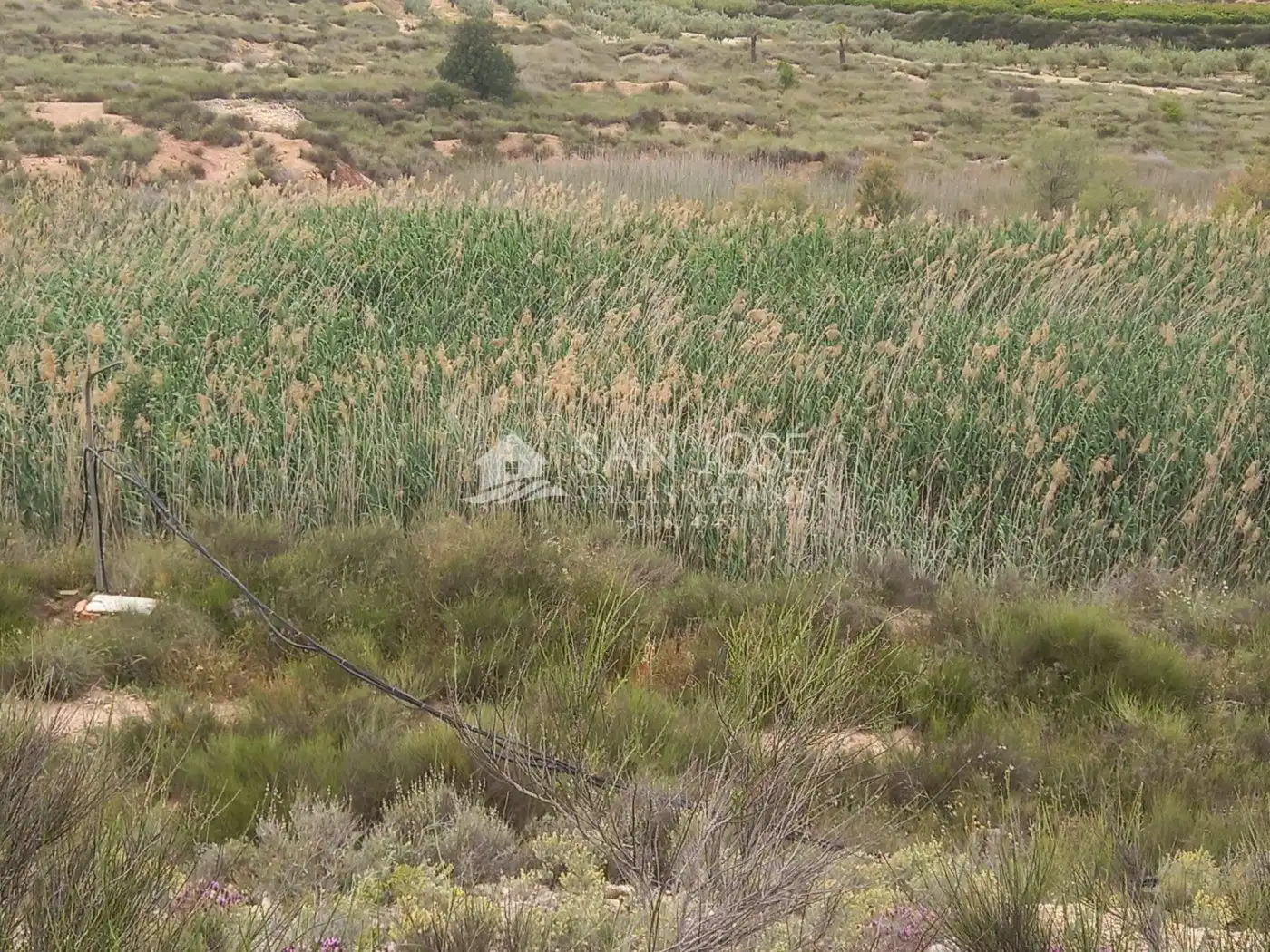 Rural land for sale in Novelda, imagen 9