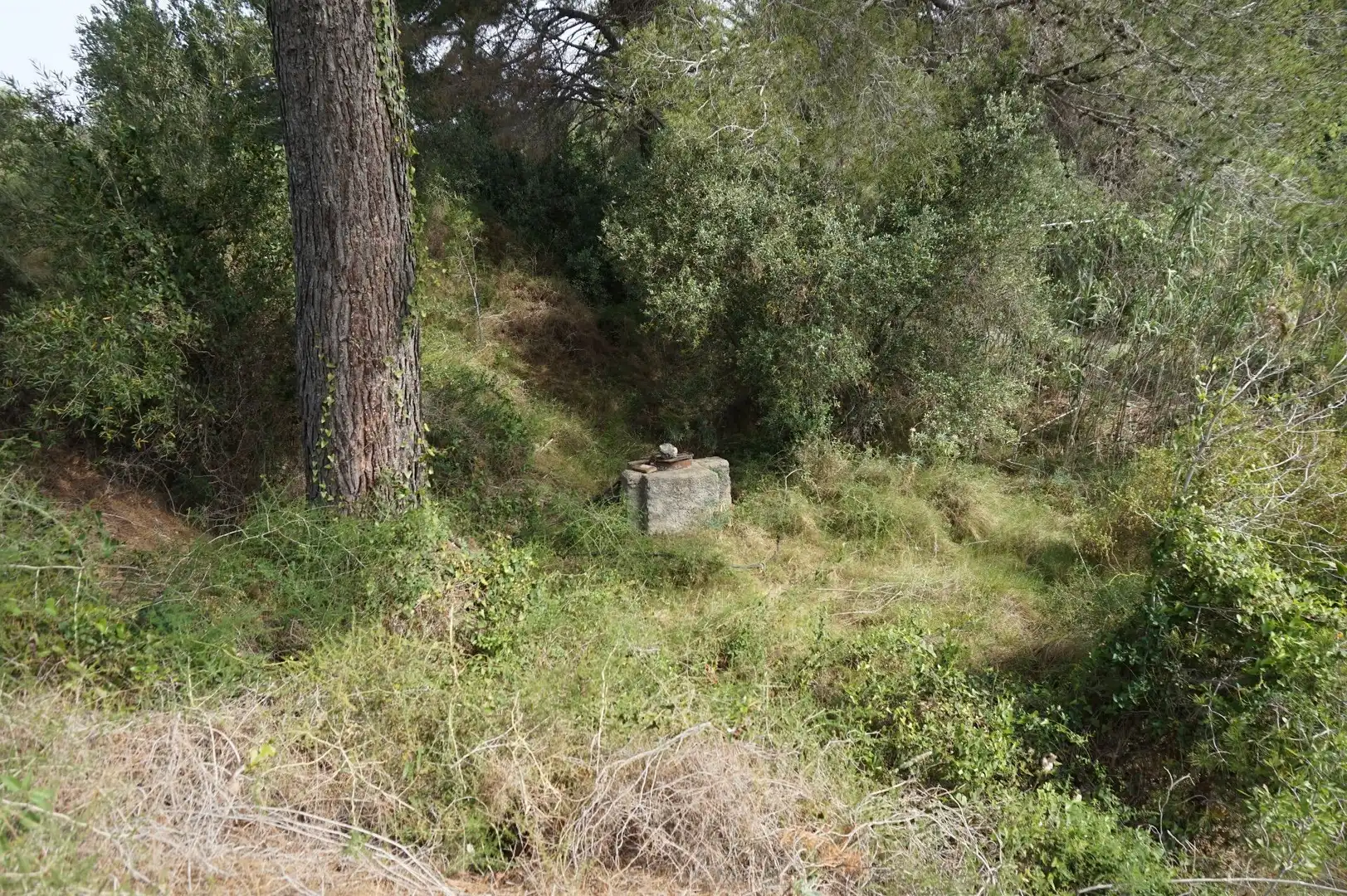 Maison rustique à vendre à Les Borges del Camp, imagen 19