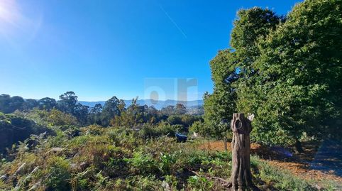 Foto 5 de Finca rústica en venta en Moaña, Pontevedra