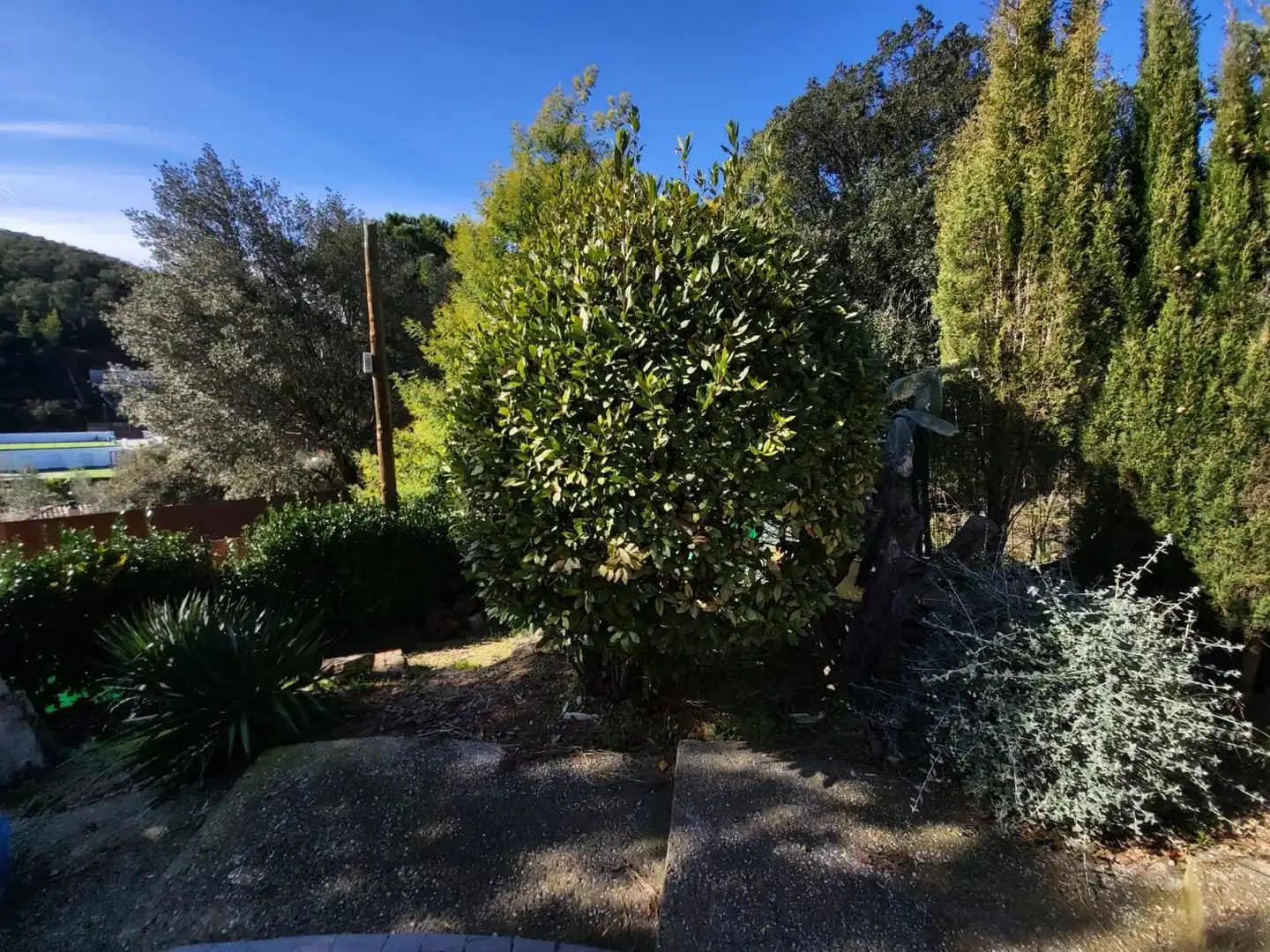 Detached house with pool for sale in Calle Alzina, imagen 13