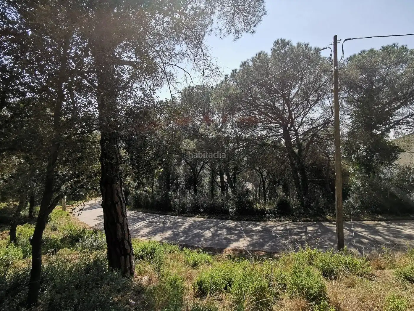Terreny residencial en venda a Carrer Mil Pins 61, imagen 6
