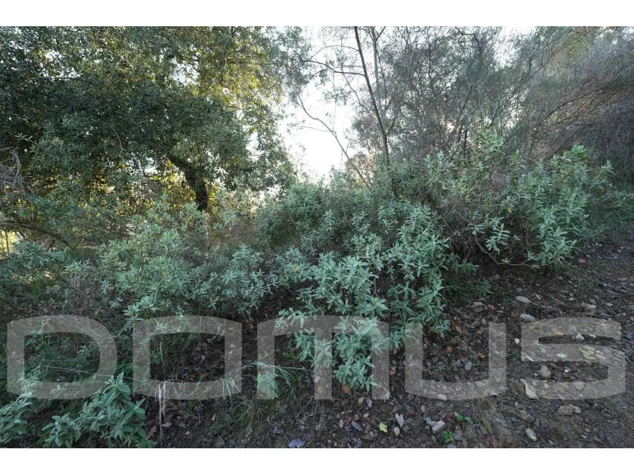 Terreno rústico en venta en Sant Vicenç Dels Horts, imagen 12