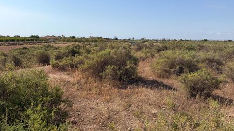 Foto 4 von Residential zum Verkauf in La Algoda - Matola - Llano de San José, Elche / Elx