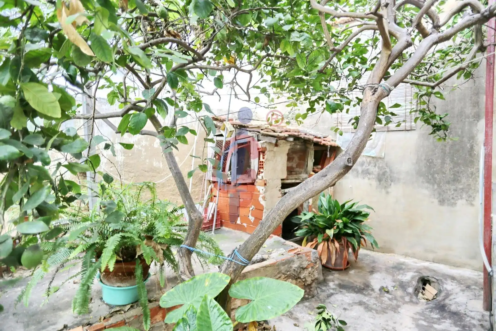 Terraza de Casa o chalet en venta en Guardamar del Segura con Jardín privado