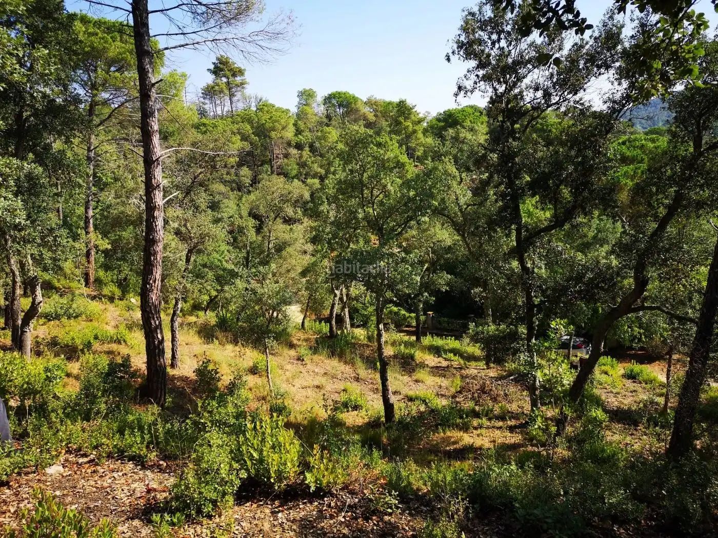 Residential land for sale in Urbanitzacio Sant Roc 23, imagen 5