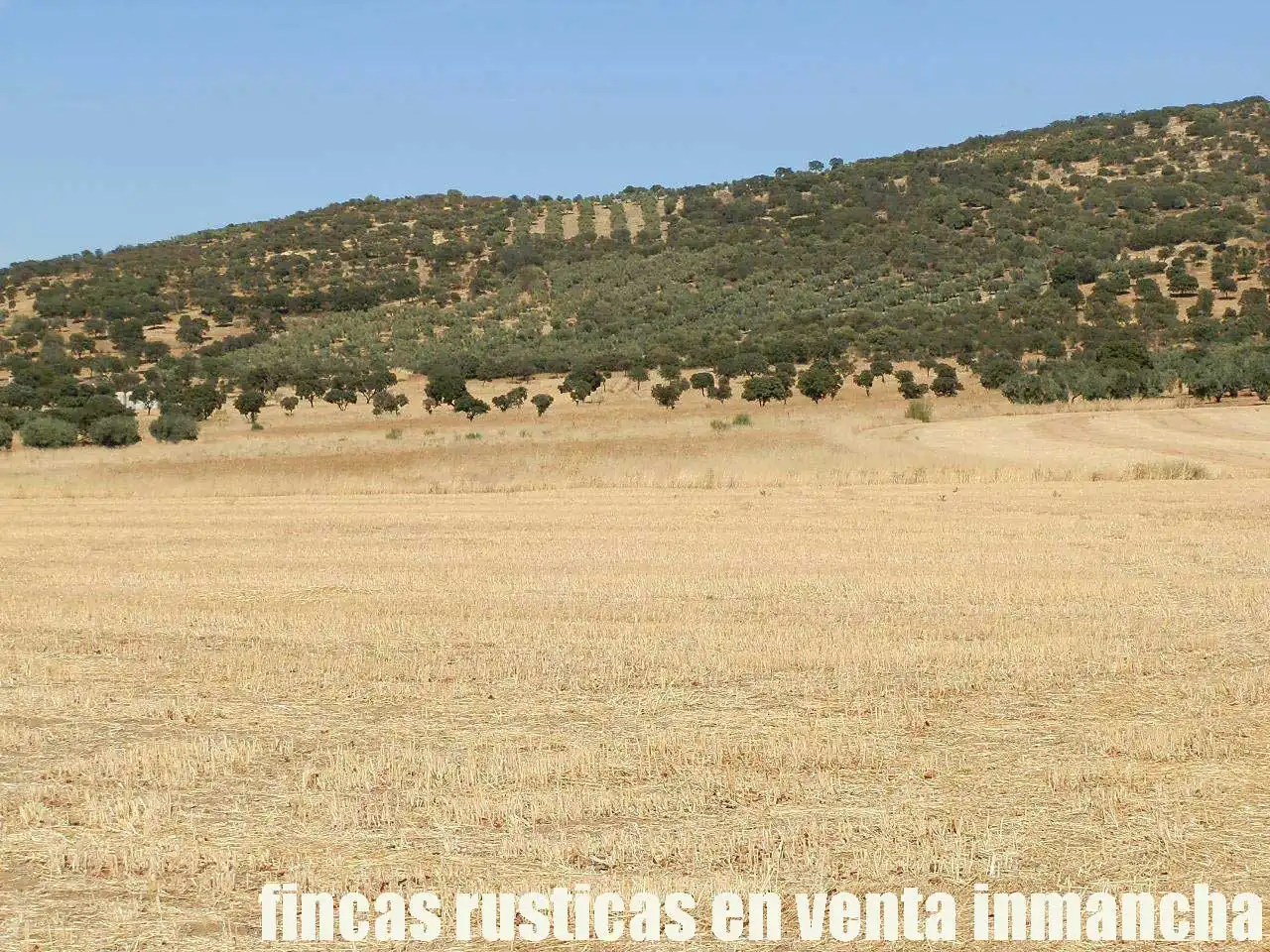 Terreny rústic en venda a Fuente el Fresno, imagen 2