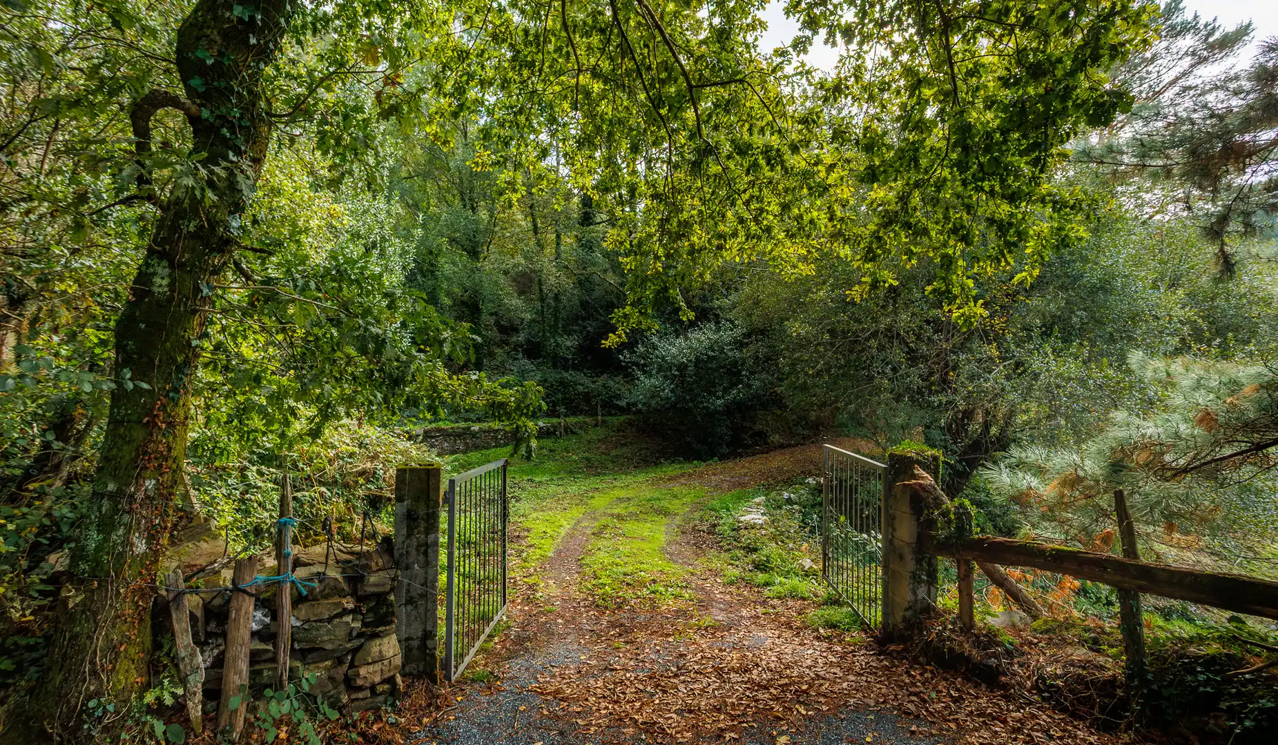 Vista exterior de Finca rústica en venta en Ourol con Amueblado