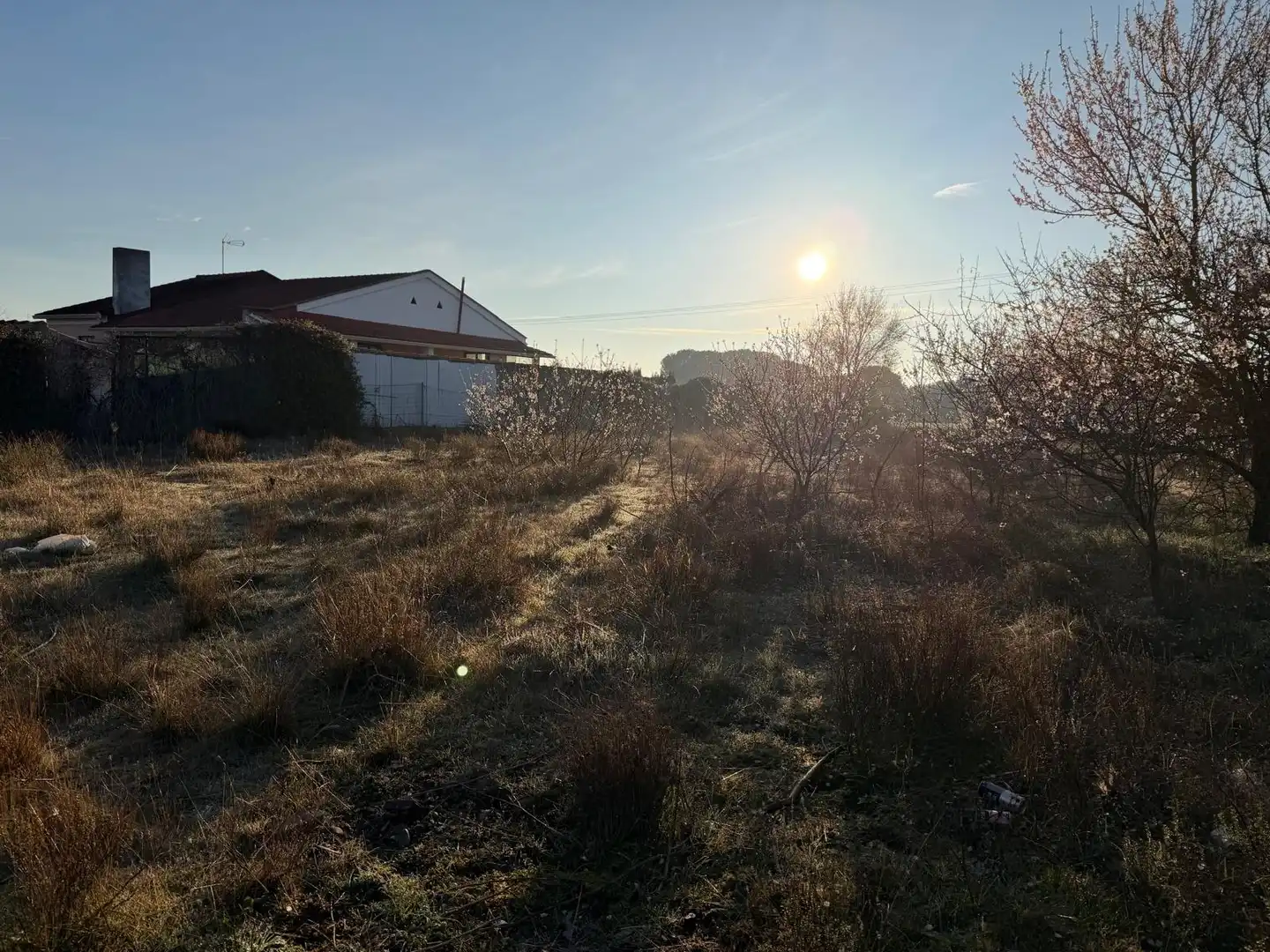 Rural land for sale in Calle San Roque, imagen 11