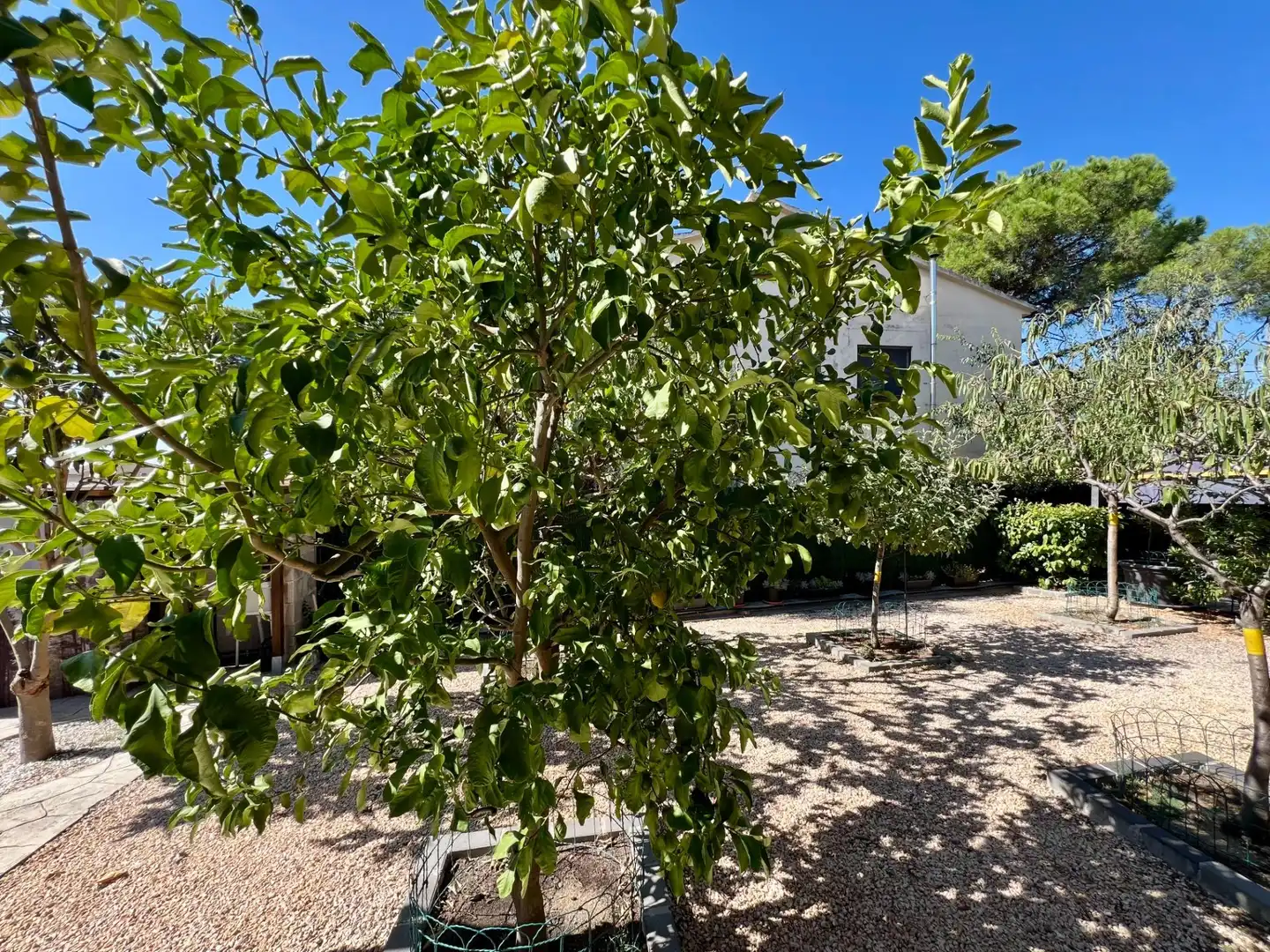 Jardín de Casa o chalet en venta en Cànoves I Samalús con Aire acondicionado, Calefacción y Jardín privado