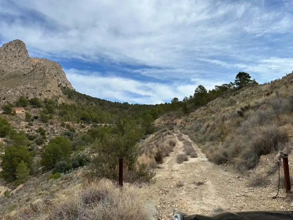 Terreno rustico in vendita a LA SIMA, imagen 4