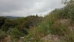 Rustikales Grundstück zum Verkauf in Paraje Corral, imagen 8