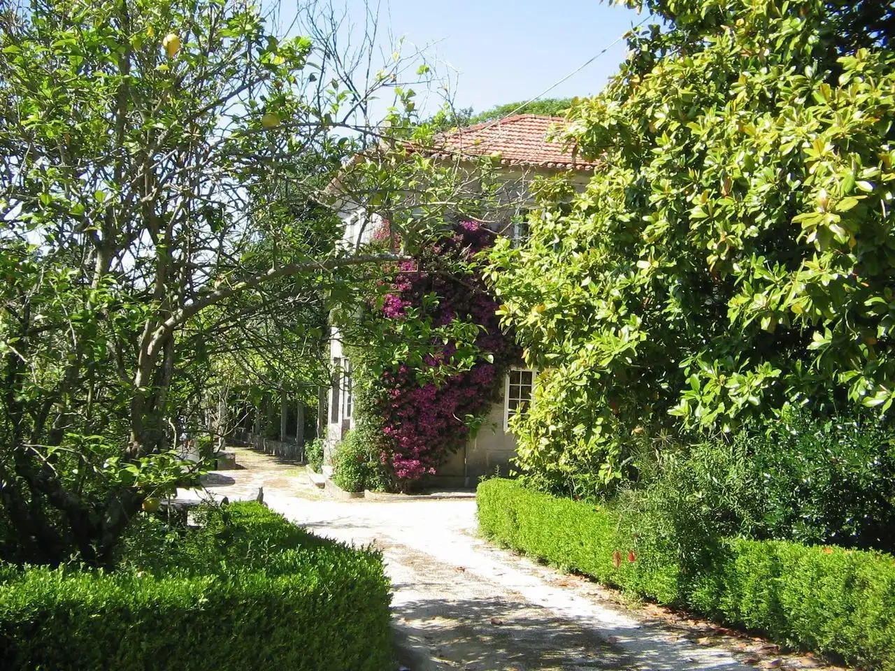 Jardí de Casa o xalet en venda en Vigo  amb Calefacció, Jardí privat i Terrassa
