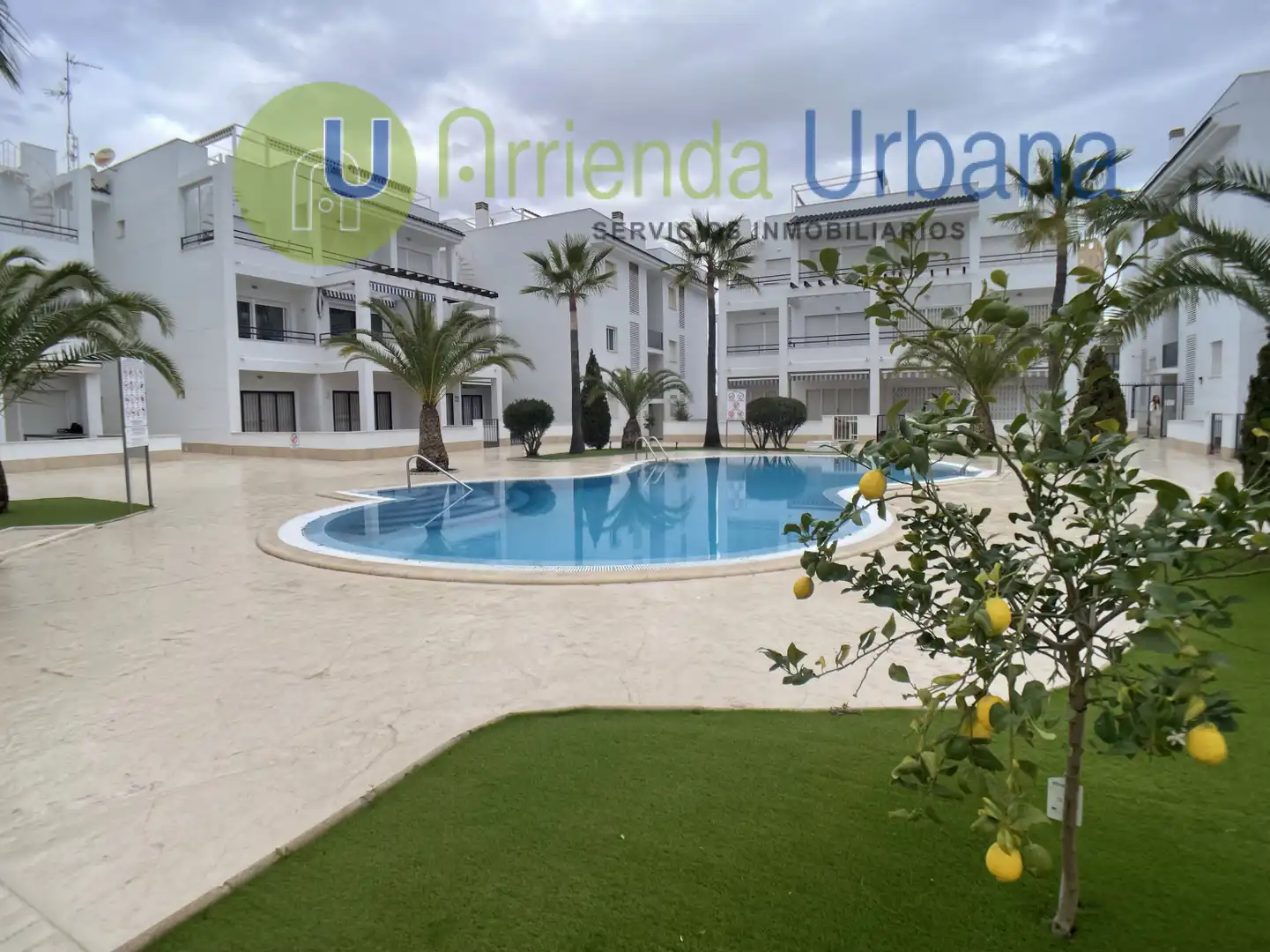 Appartement avec terrasse à louer à Torrevieja - Mar rojo, imagen 23