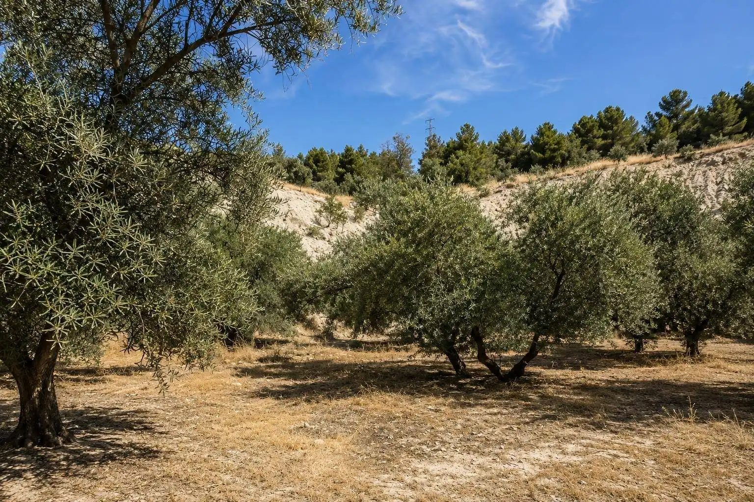 Country homes for sale in Atarfe