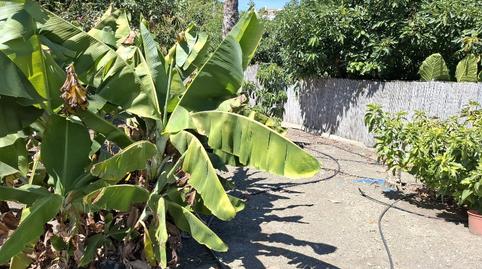 Foto 2 de Finca rústica en venta en Terreno Au-1 Loma de las Vacas, 23, Frigiliana, Málaga