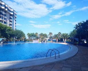 Piscina de Pis de lloguer en Alboraya amb Terrassa, Piscina i Forn