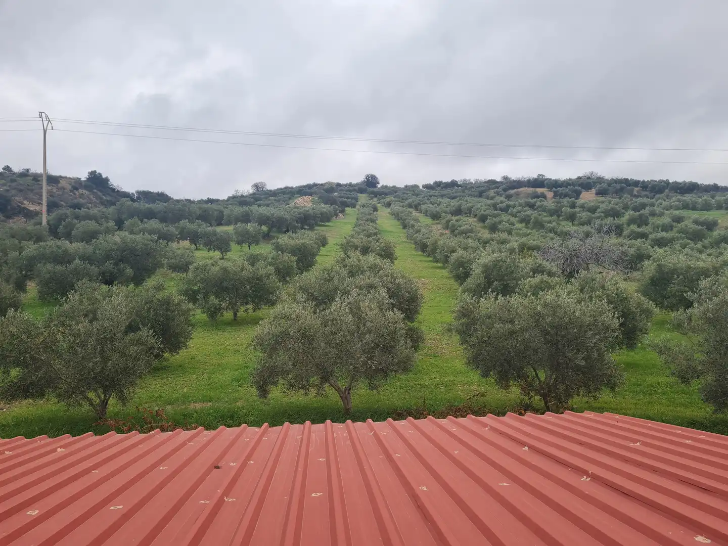 Finca rústica en venda en Antequera amb Traster