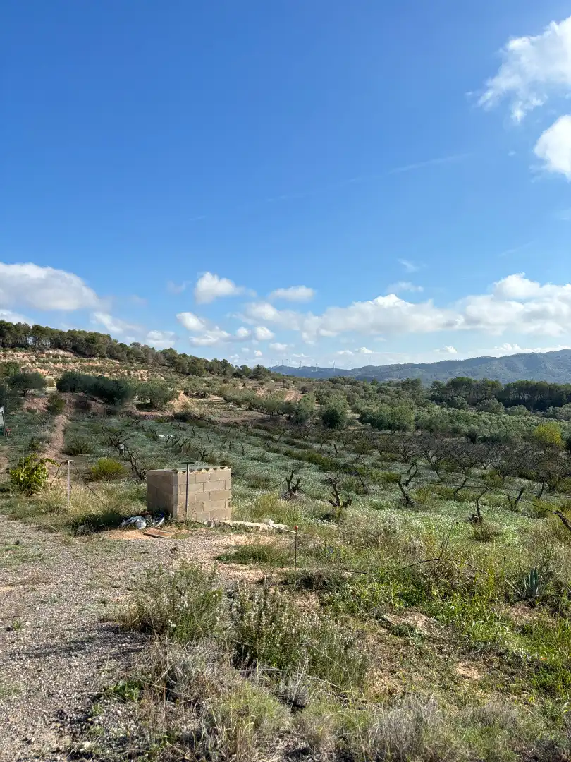 Terreno en venta en La Fatarella