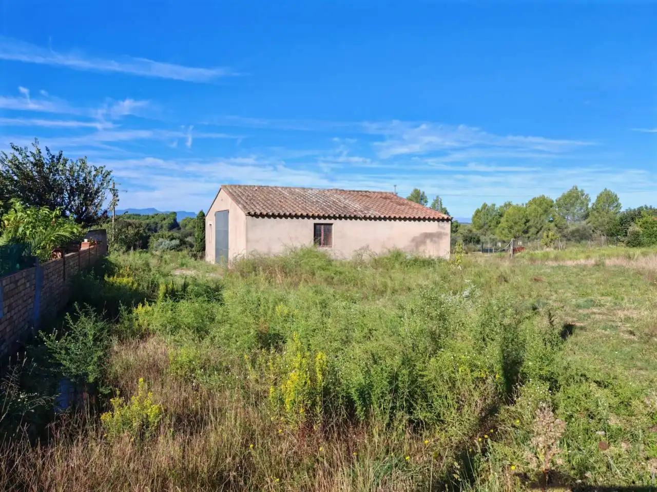 Rural land for sale in Camino Dipòsit, imagen 5