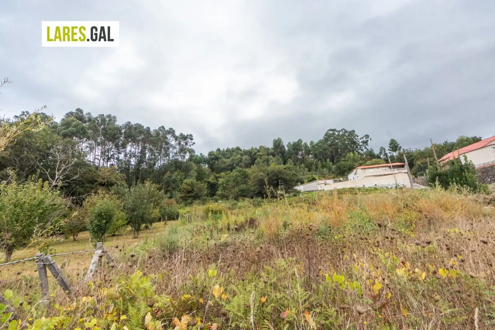 Terrain rustique à vendre à Paradela, imagen 13