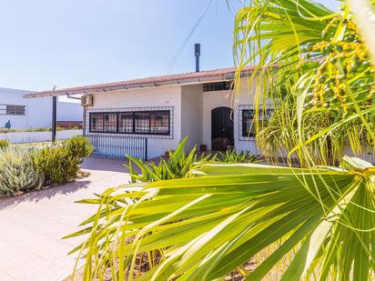 Vista exterior de Casa o xalet en venda en Palos de la Frontera amb Aire condicionat, Terrassa i Piscina