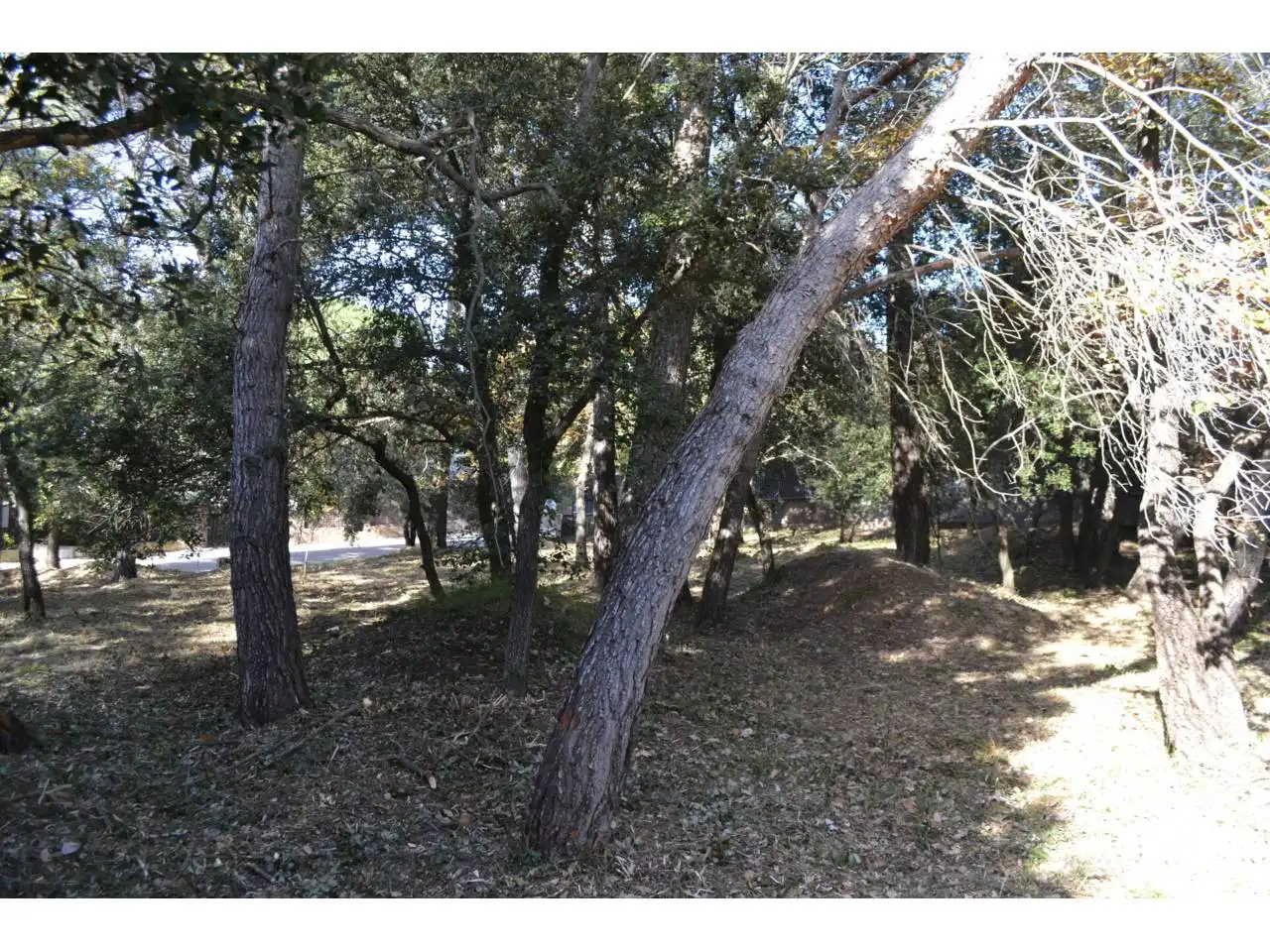Terrain résidentiel à vendre à Calle Cavall Bernat, imagen 7