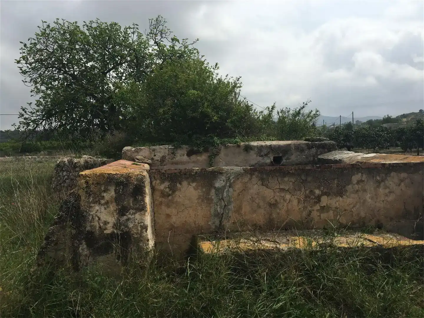 Vista exterior de Terreno en venta en Godall