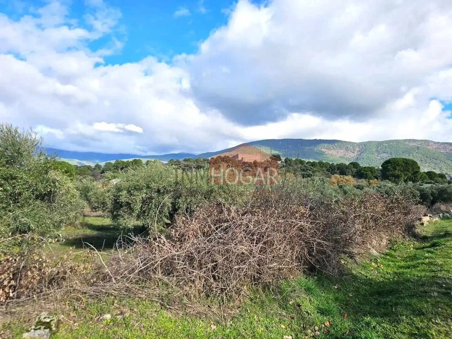 Terreni e lotti in vendita a La Adrada, imagen 5