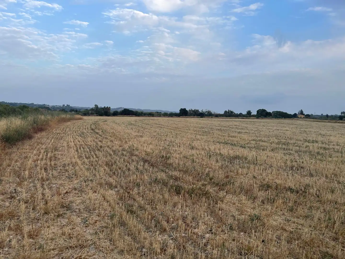 Terrain rustique à vendre à Plaça de l'Església Vella 13, imagen 12