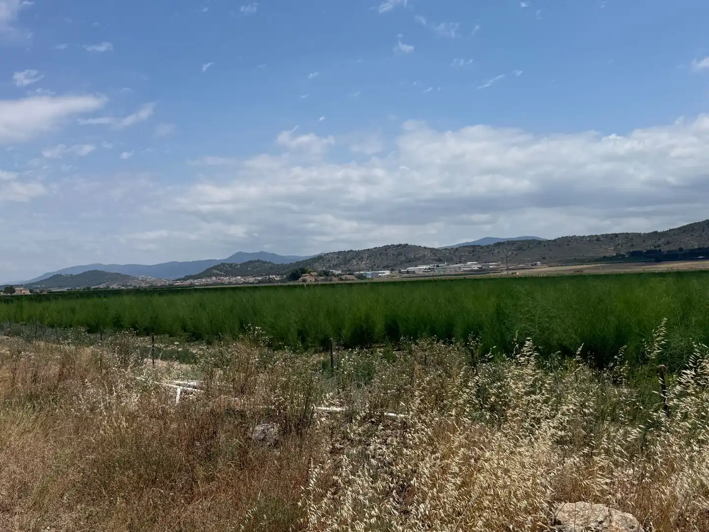Residencial en venda en Villena